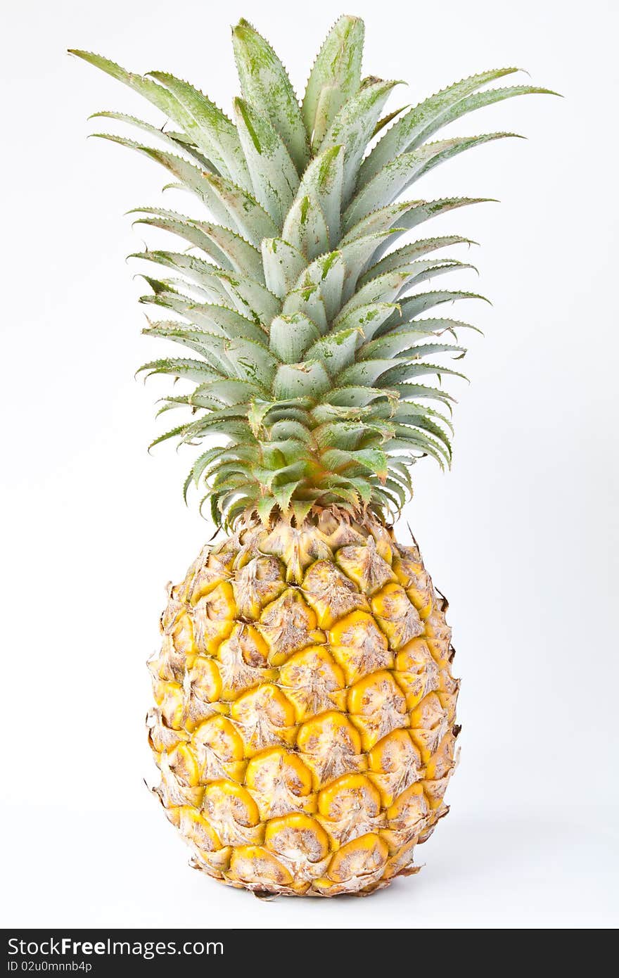 Pineapple