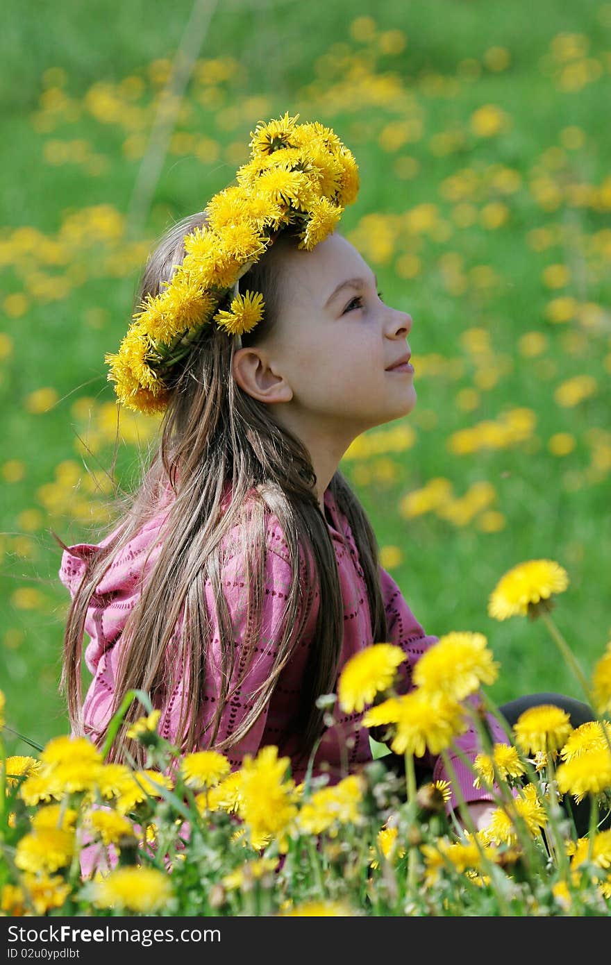 Nice, young girl enjoy summer time in the dandelion meadow. Nice, young girl enjoy summer time in the dandelion meadow.