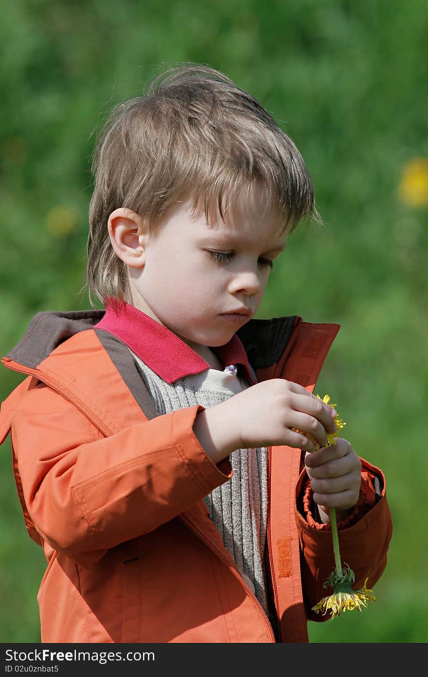 Young boy enjoy summer time in the dandelion meadow. Young boy enjoy summer time in the dandelion meadow.