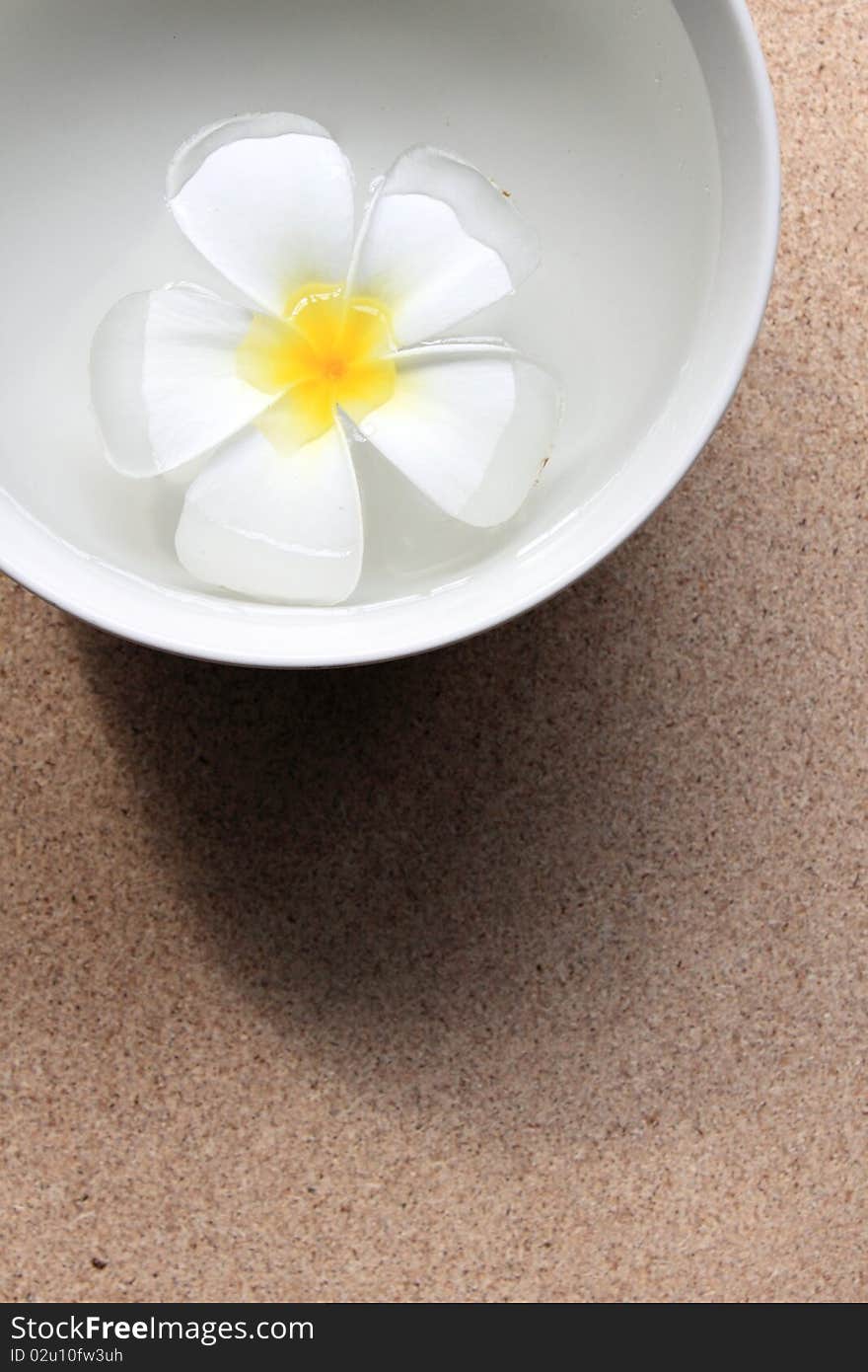 Frangipani float on the bowl water. Frangipani float on the bowl water