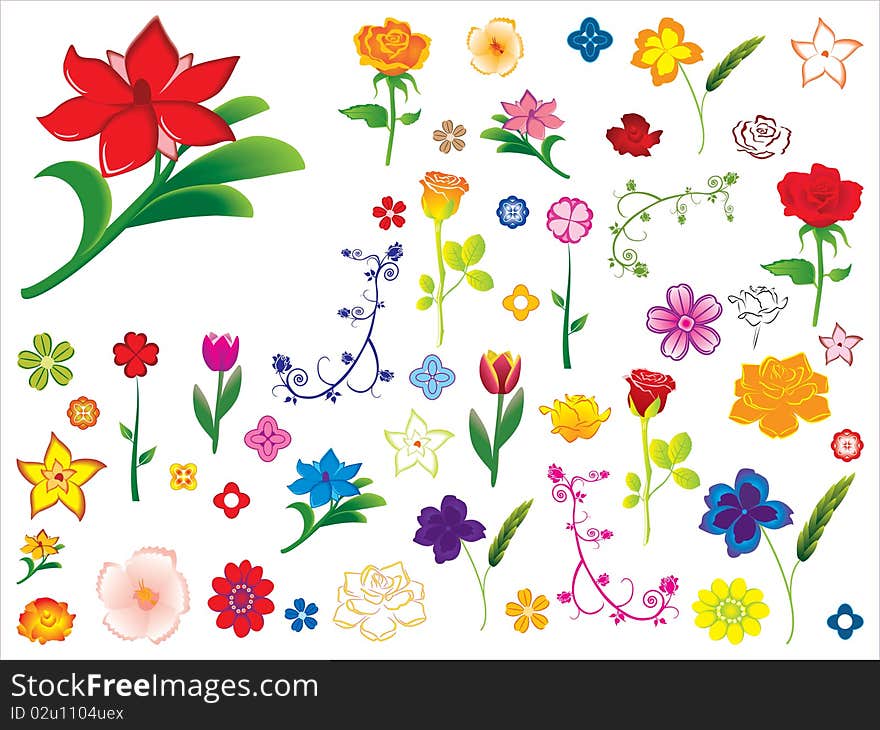 Vector illustration of colorful flowers. Vector illustration of colorful flowers