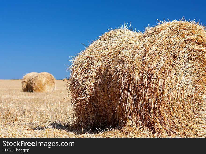 Wheat Haystacks after the harvest. Summer. Wheat Haystacks after the harvest. Summer.