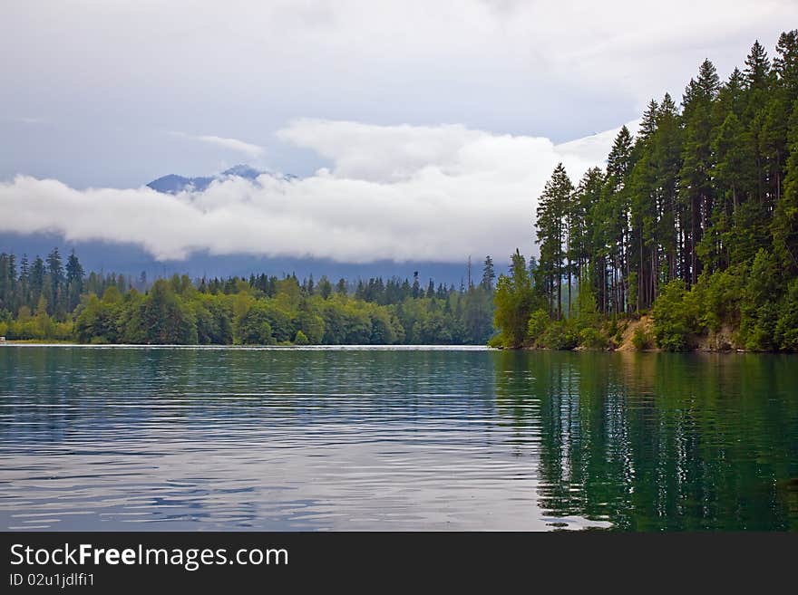 Landscape With  Lake And Evergreen Forest