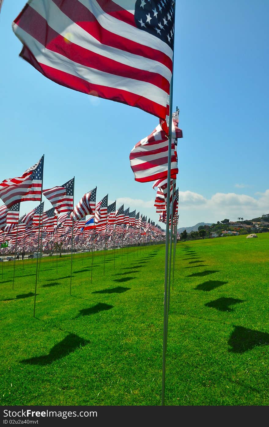 American Flags