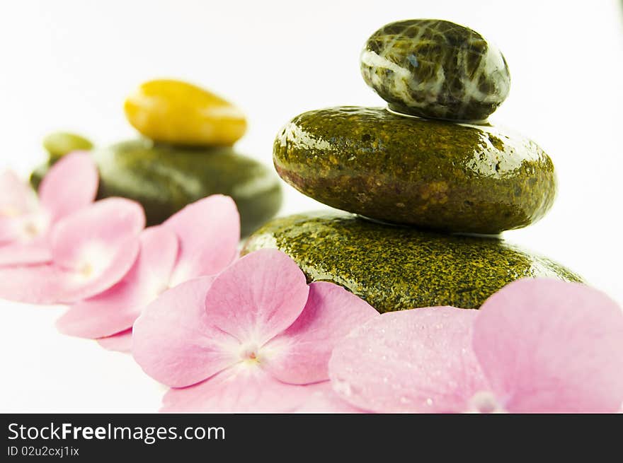 Zen stones and pink flower