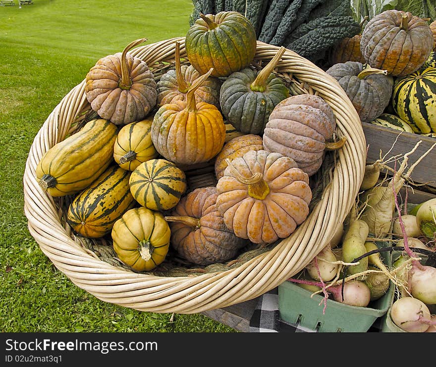 Organic Squash At Farmers Market