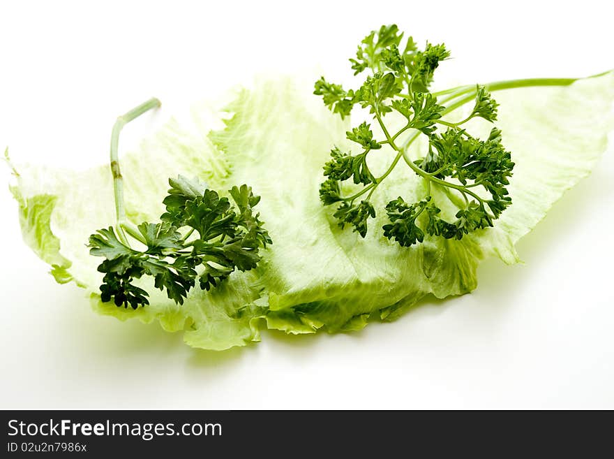 Salad leaves