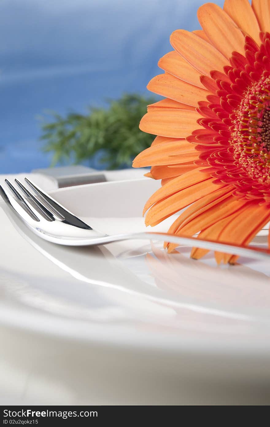 Orange flower with white plate. Orange flower with white plate