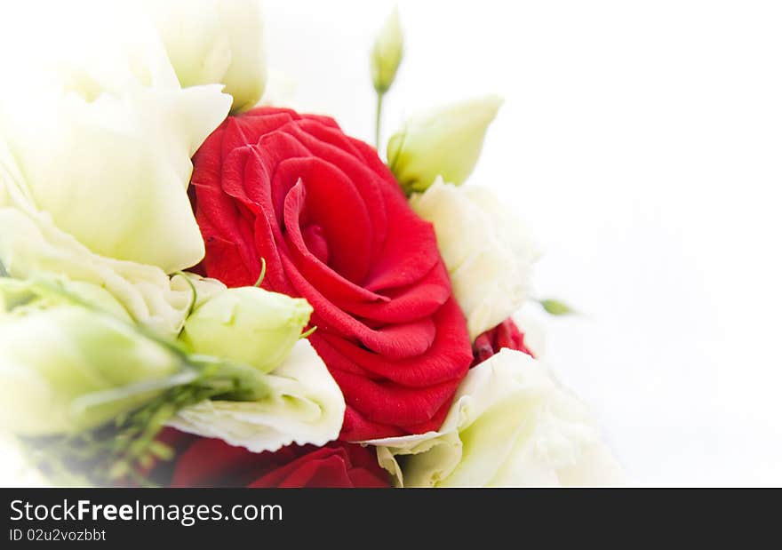 Bouquet made up of red and white roses. Bouquet made up of red and white roses