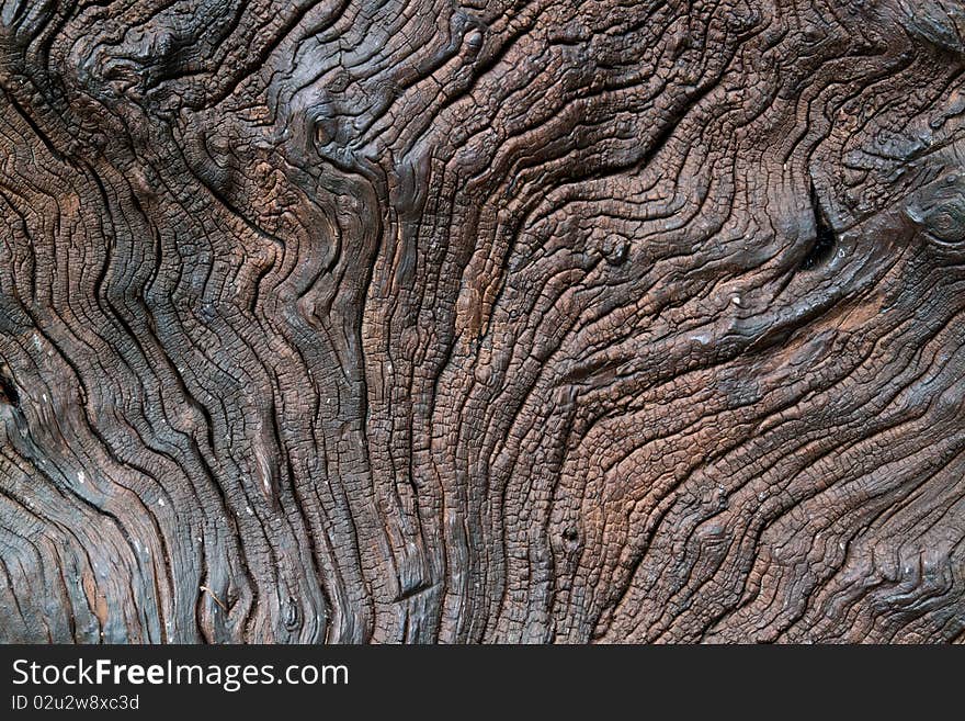 Old Wood Texture