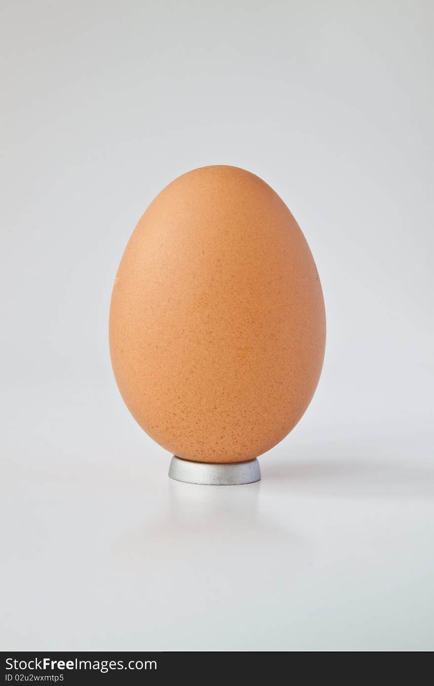 Egg Standing