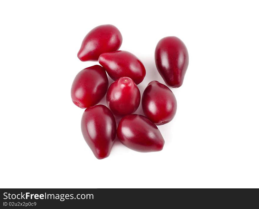 A handful of dogwood garden on a white background