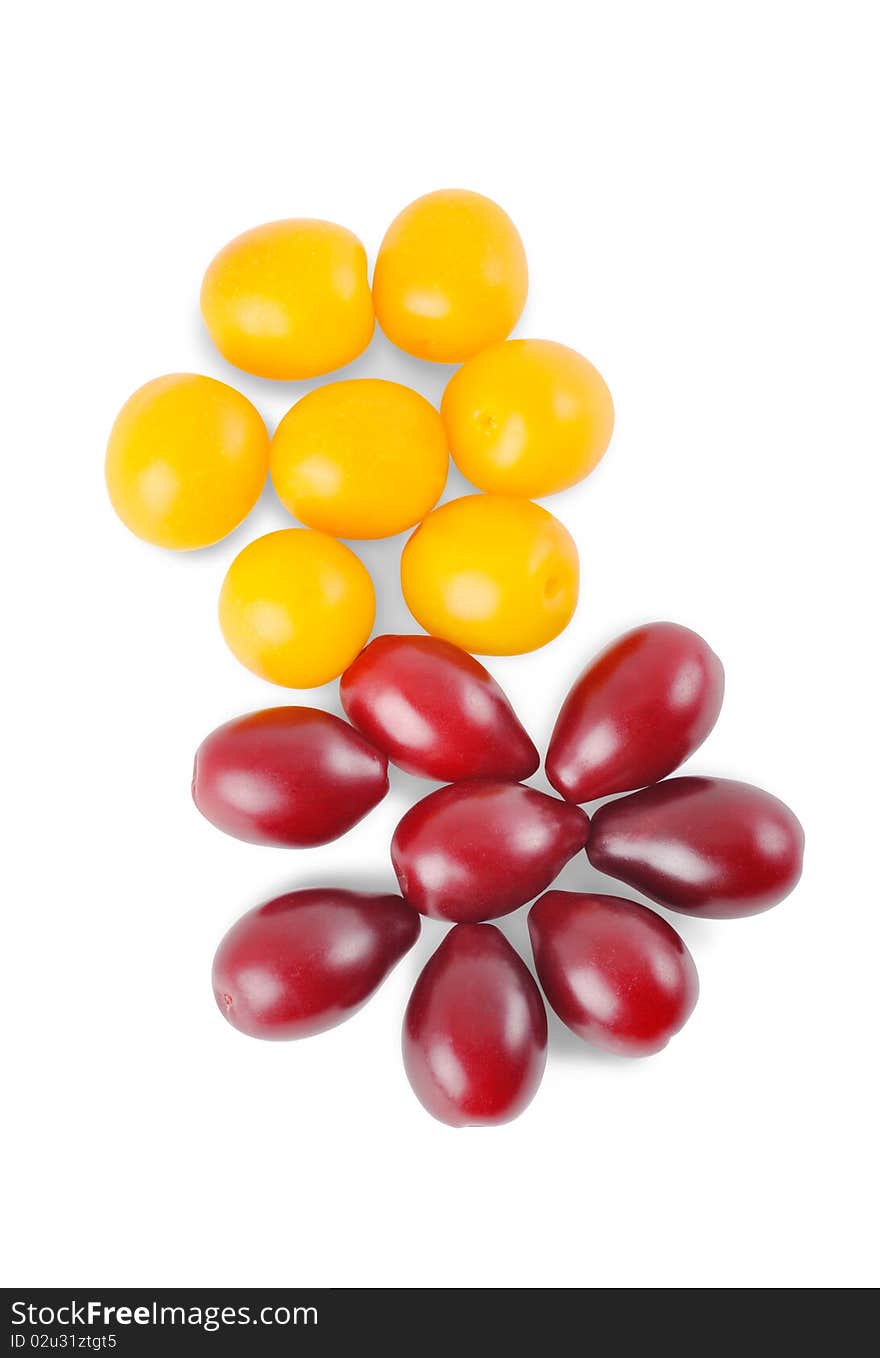 Yellow plum and dogwood on a white background