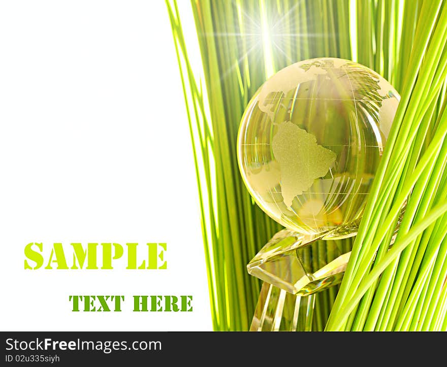 Glass globe in fresh green grass.