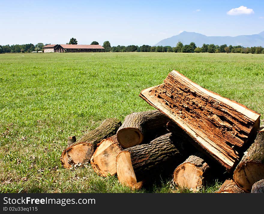 Pieces of wood with copy space, good for conceptual