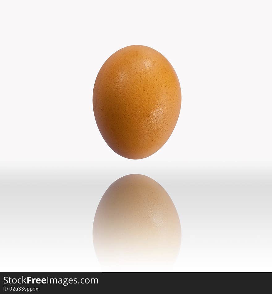 Egg