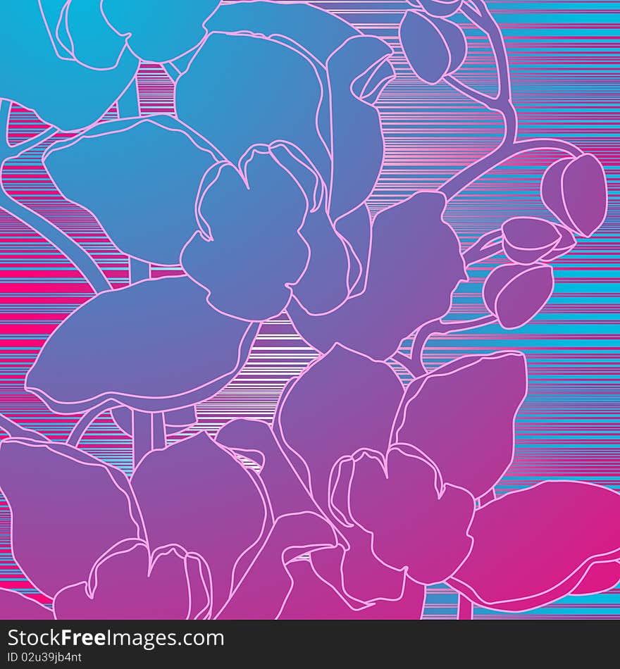 Contours of orchids on a background abstractions from lines in lilac and pink tones