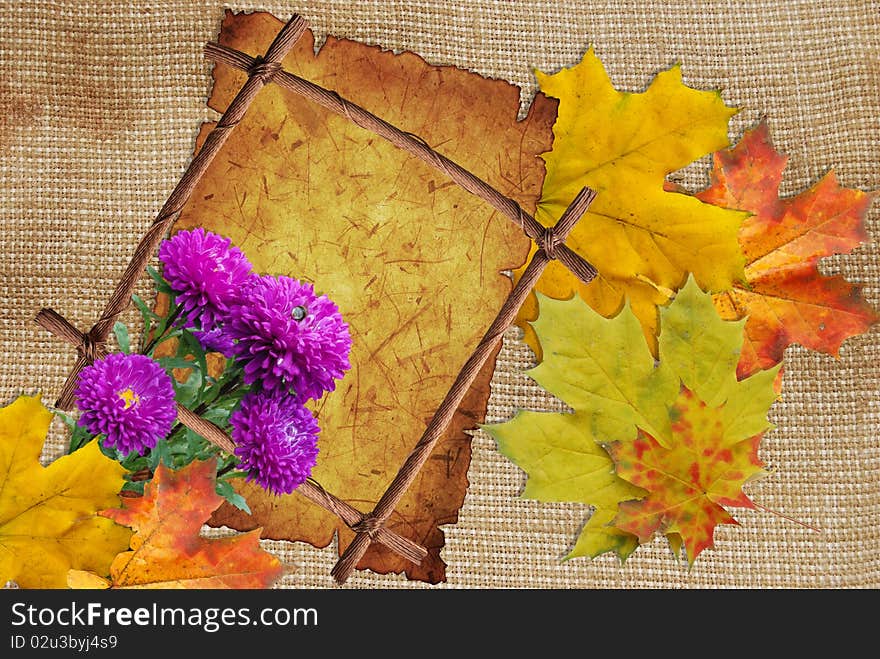 Asters and maple leafs with frame on background of canvas