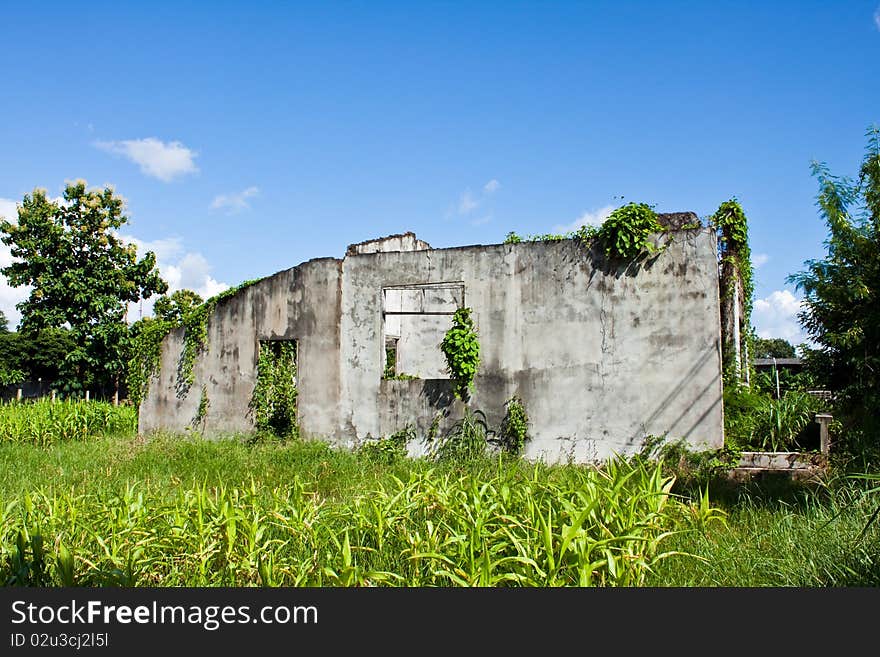 An old and rustic house surrounded with vegetation. An old and rustic house surrounded with vegetation