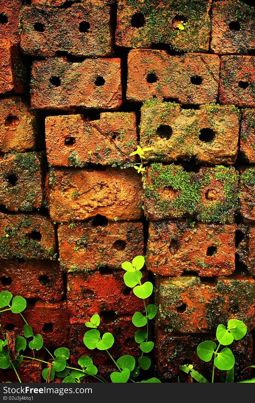 Old red brick wall grown with grass and moss