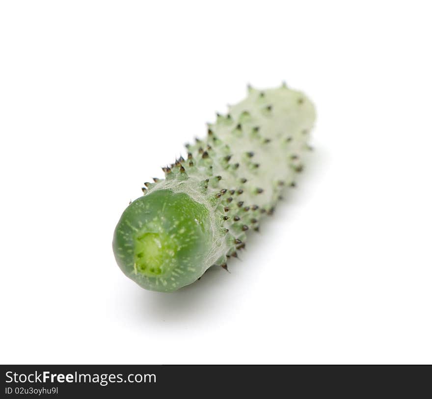 Fresh cucumber on the white isolated background. studio photo