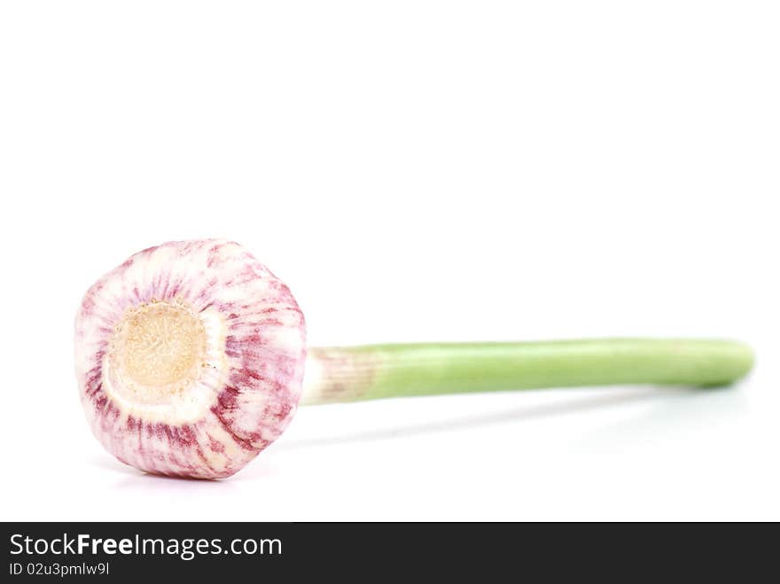 Garlic on the white isolated background.  studio photo