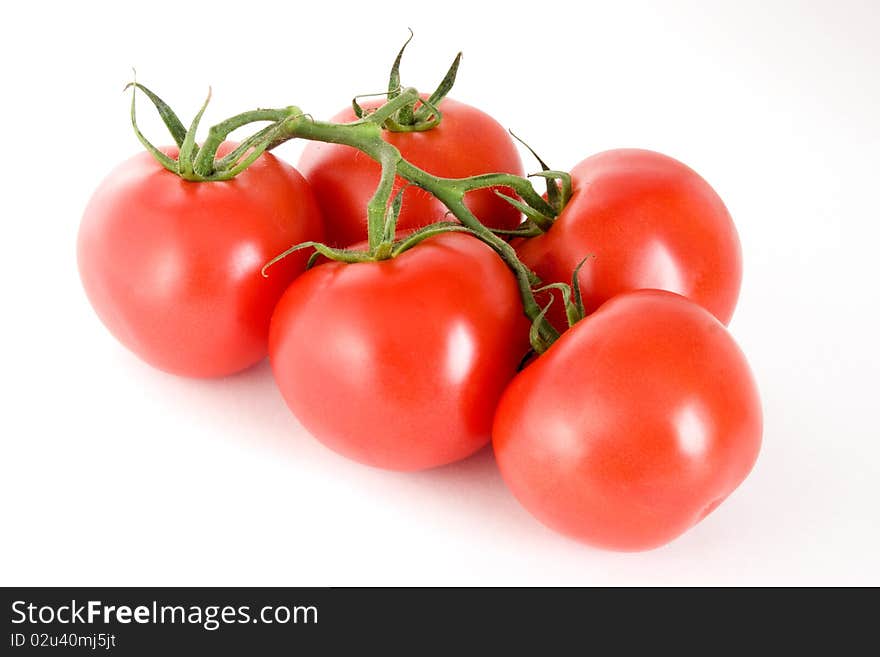 Five tomatoes on a stem