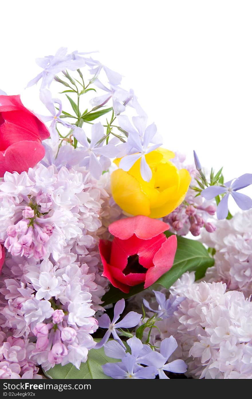 Spring bouquet isolated on a white background