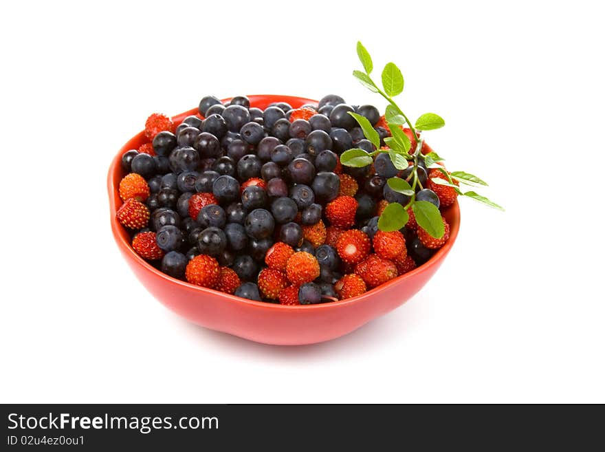 Wild strawberries and blueberries on a white background