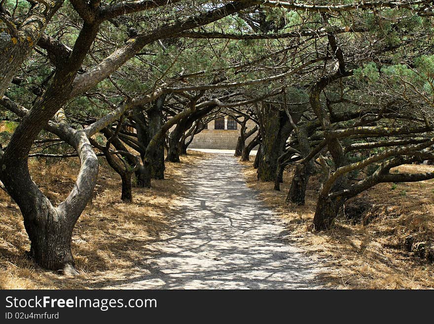 Shady alley in the monastery Filerimos, Rhodes island, Greece