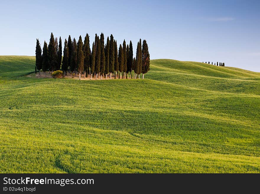 Tuscan idyllic countryside