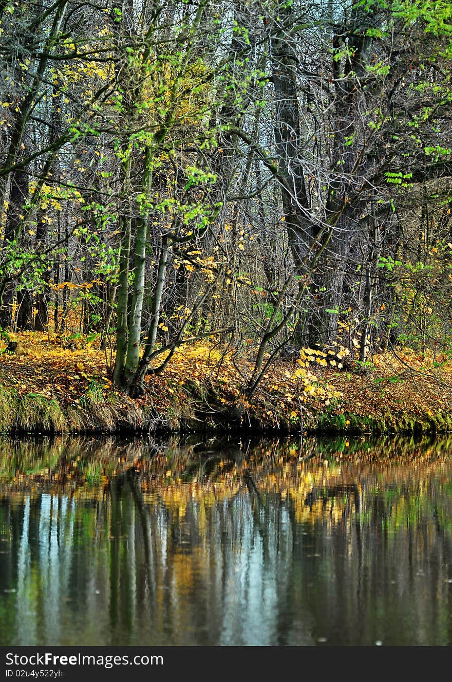 Fall colored trees and river with mirroring