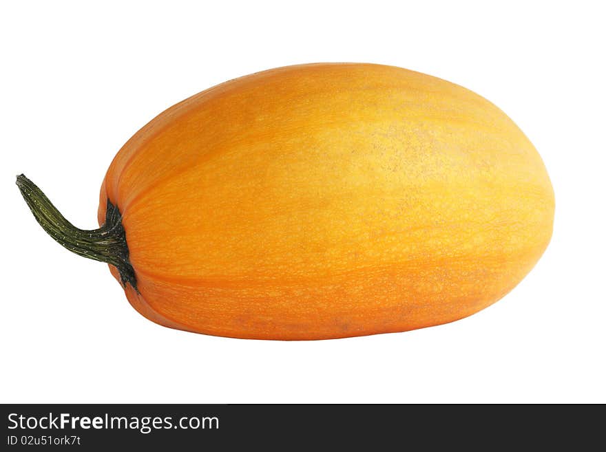 Single fresh pumpkin isolated on white background. Single fresh pumpkin isolated on white background