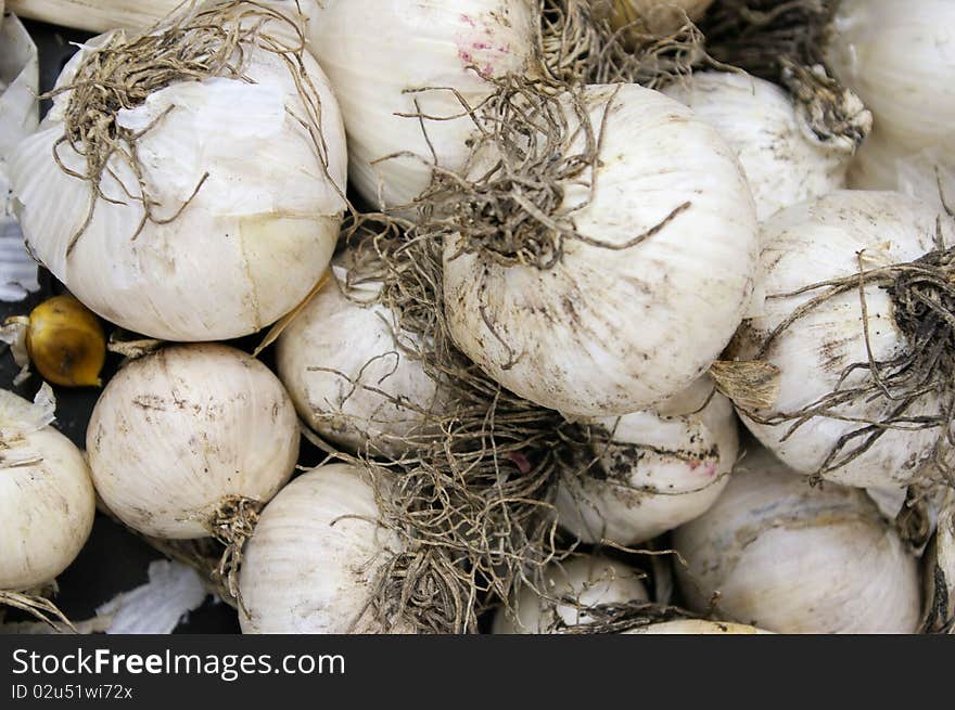 White skinned onions