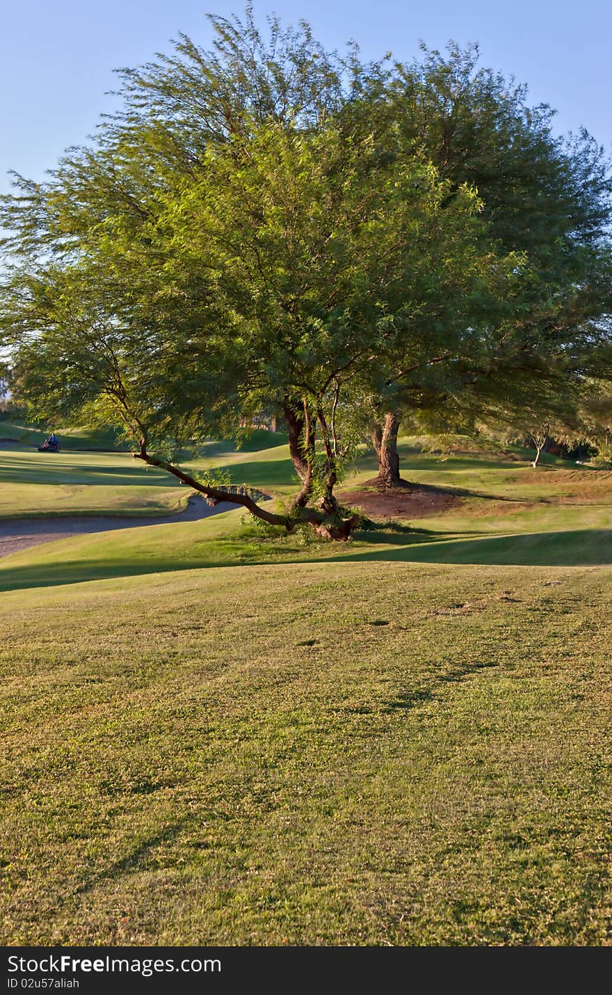 Morning on the golf course