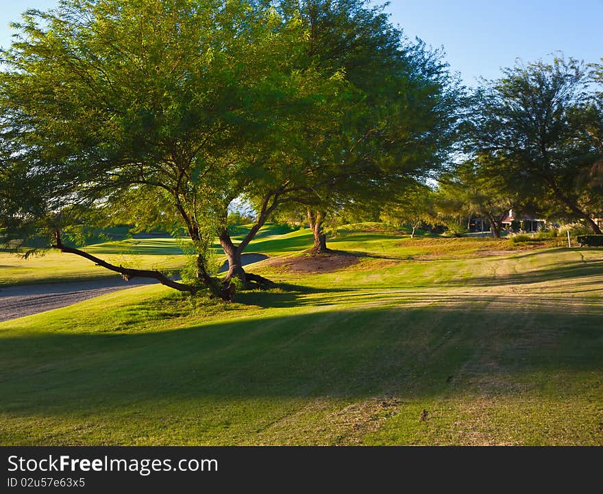 Morning on the golf course