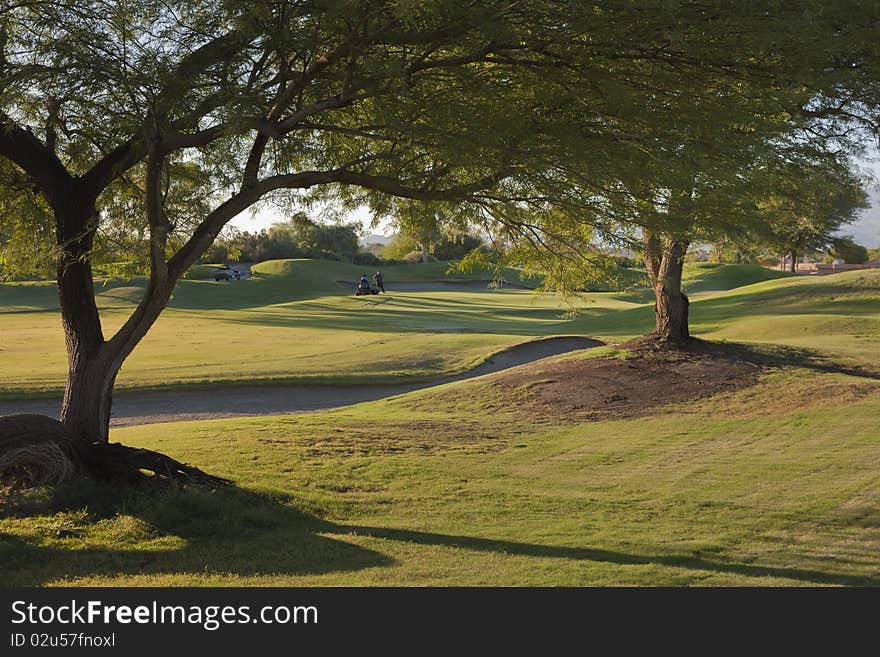 Morning on the golf course