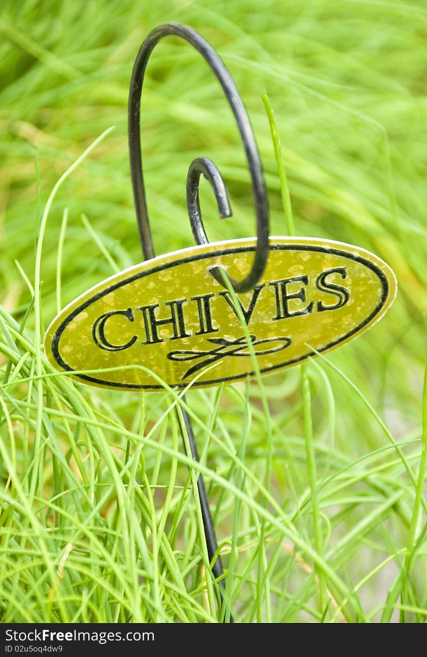 Closeup of a bunch of fresh chive with a yellow label. Closeup of a bunch of fresh chive with a yellow label.