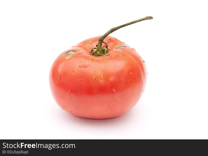 Eco red tomato