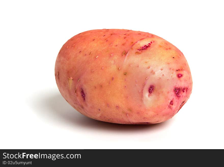 The red miniature potato isolated on white background. The red miniature potato isolated on white background