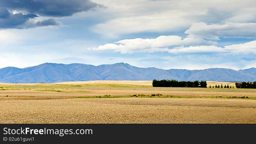 Pasturelands in the heat of summer