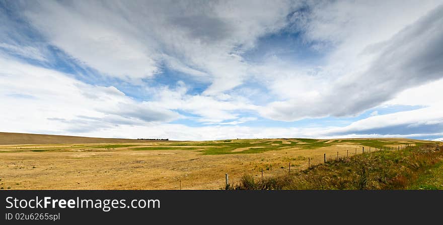 Pasturelands in the heat of summer