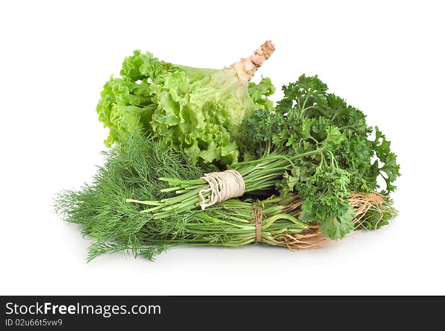 Parsley and other green isolated on white background