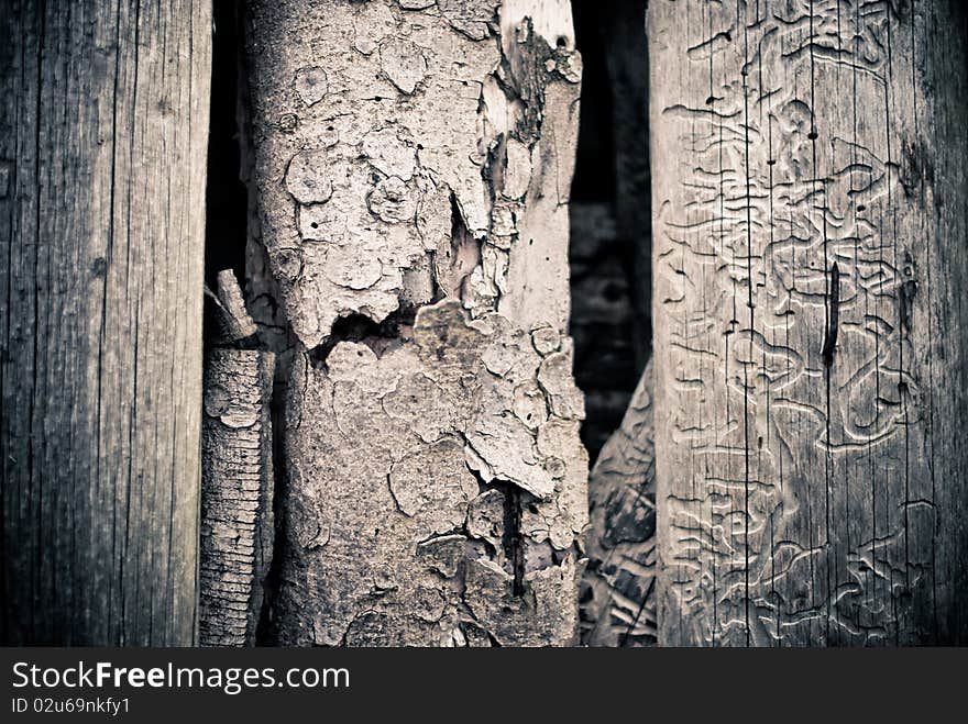 Old wooden fence with rusty nails background. Old wooden fence with rusty nails background