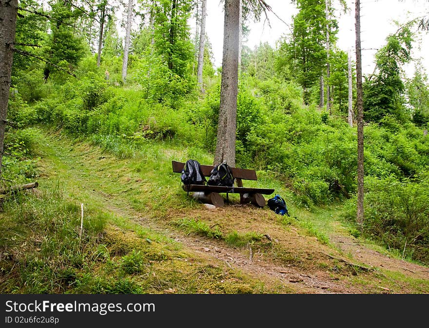 Three backpacks and a wooden seat in the wet Black Forest. Three backpacks and a wooden seat in the wet Black Forest