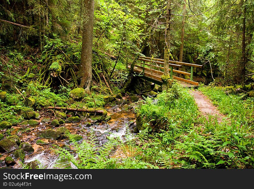 Wooden bridge over a small whitewater in rainy Black Forest. Wooden bridge over a small whitewater in rainy Black Forest