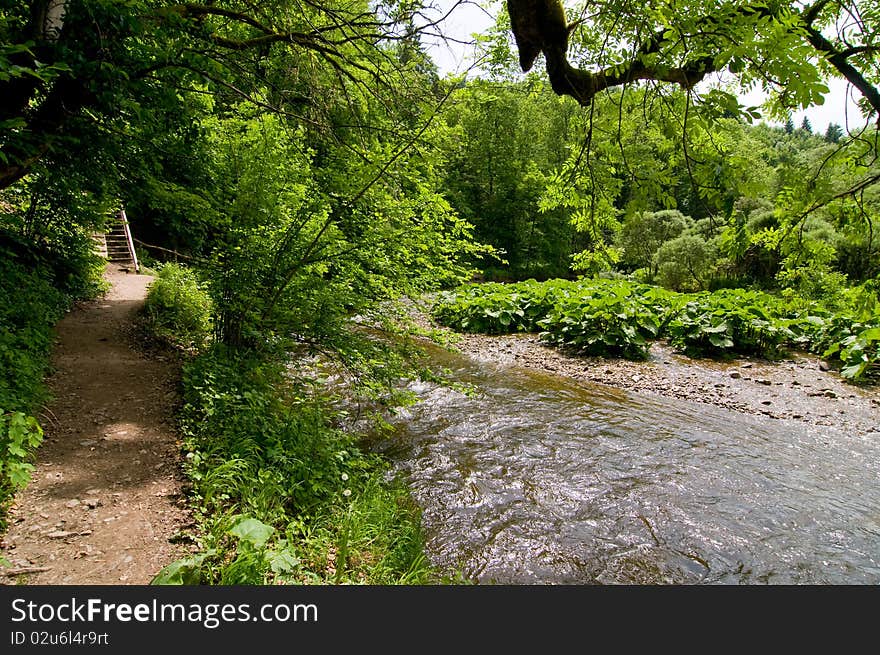 Trail in the Black Forest with wooden stairs alongside a river