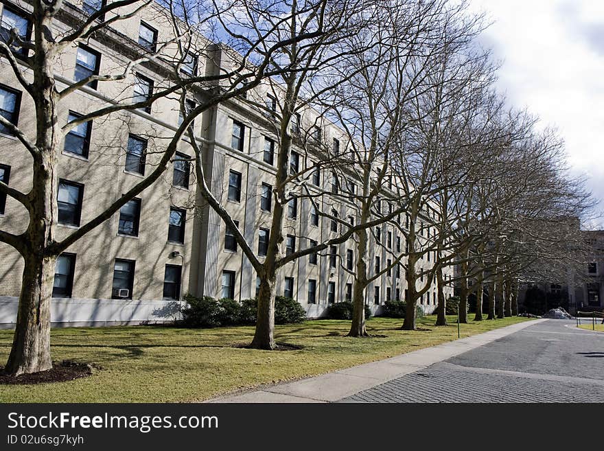 Cambridge park in the university