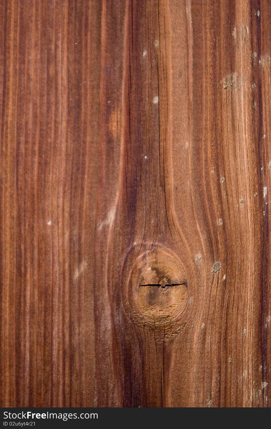 Wood Texture