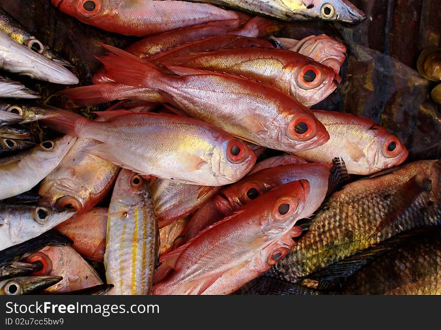 Red Bigeye fish on display on a Philippine market stall